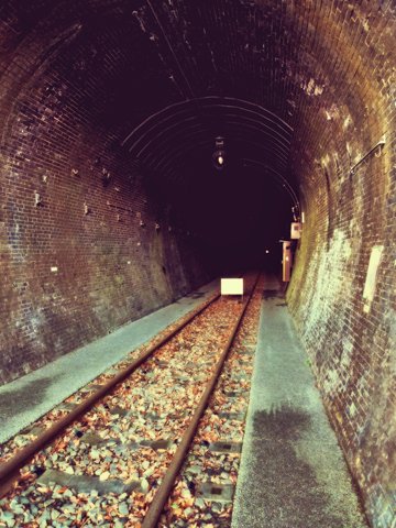 トンネル入口から