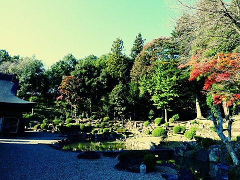 浄居寺の庭園